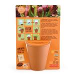 Radis et Capucine - Kit de jardinage enfant - Plante Carnivore - T-Rex - MEDIA_PACKAGING_VERSO